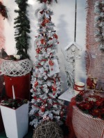 /album/galleria-foto-natale/a2011-11-22-16-35-16-jpg/